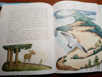 Ольга Велейко: Калининград. Там, где танцует лес