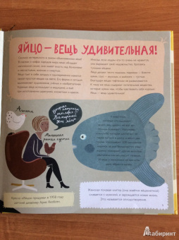 Лена Шёберг: Крутые факты о яйцах