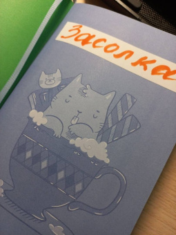 Книга для записей кулинарных рецептов "Котики" (144 листа, А5, твердый переплет) (53285)