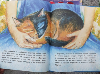 Анна Федулова: Вместе не страшно