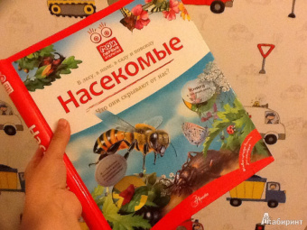 Владимир Горбатовский: Насекомые
