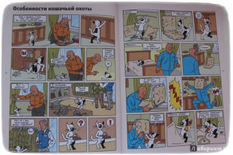 Снегирев, Снегирева: Кешка без тормозов