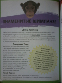 Бедуайер Камилла де ла: Герои животного мира. Удивительные истории, рекорды и подвиги