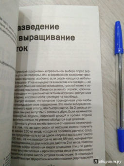Разведение и выращивание уток, индоуток и гусей обычных пород и бройлеров
