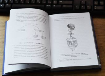 Деб Дана: Тело на твоей стороне. Как сделать нервную систему своим союзником в достижении спокойствия
