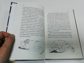 Джеймс Боуэн: Подарок уличного кота Боба