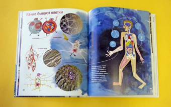 Егоров, Нечипоренко: Живой дом