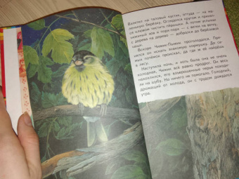 Евгений Пермяк: Чижик-Пыжик