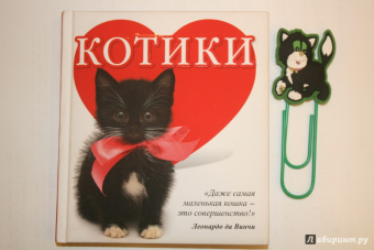 Евгения Гюнтер: Котики