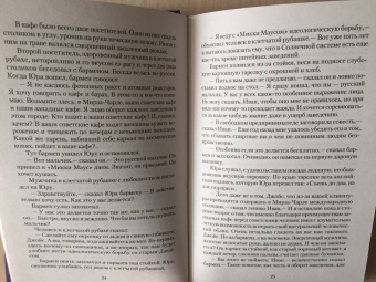 Стругацкий, Стругацкий: Стажеры