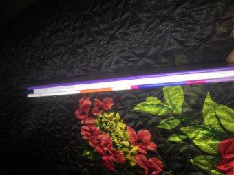 Софья Прокофьева: Не буду просить прощения