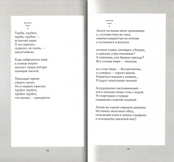 Лариса Зубакова: За гранью - грань