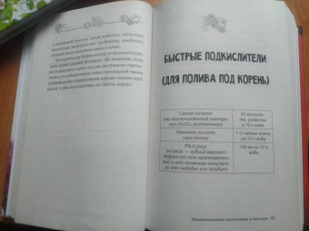 Лариса Кочелаева: Энциклопедия цветовода