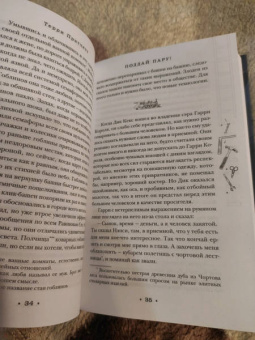 Терри Пратчетт: Поддай пару!