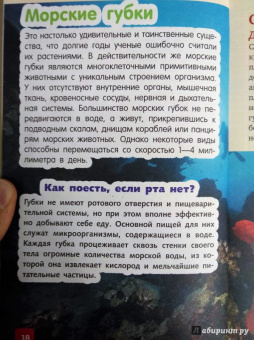 Дмитрий Кошевар: Животные