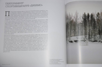 Кизны, Кауффманн, Рогинский: Большой террор. 1937-1938