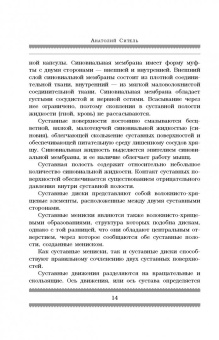 Анатолий Ситель: Все о позвоночнике. Большая книга
