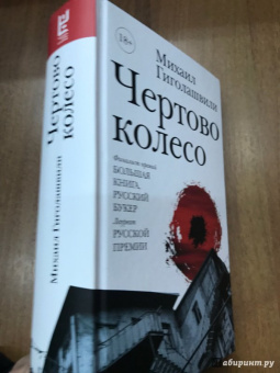 Михаил Гиголашвили: Чертово колесо
