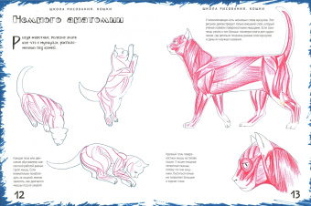 Марк Берджин: Школа рисования. Кошки
