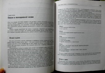 Дебора Липп: Путь Четырех. Часть 1. Создайте баланс стихий в своей жизни