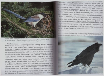 Константин Михайлов: Лесные птицы России