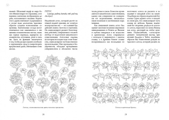 Роберт Бир: Тибетские буддийские символы. Справочник