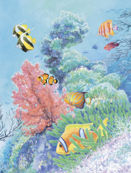 Александр Тамбиев: Как увидеть морское дно?