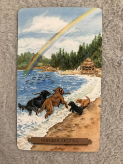 Конуэй, Найт, Мюллер: Комплект:  Таро магических собак+Таро Изменения Формы