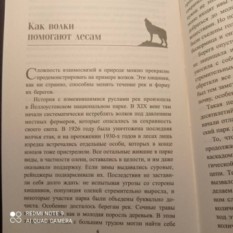 Петер Воллебен: Тайные связи в природе