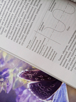 Юрий Лотман: Внутри мыслящих миров