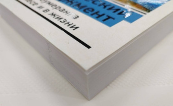 Майкл Роуч: Кармический менеджмент. Эффект бумеранга в бизнесе и в жизни