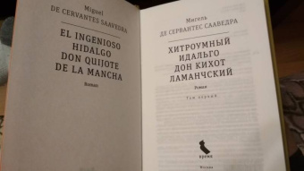 Сервантес Мигель де Сааведра: Хитроумный идальго Дон Кихот Ламанчский. В 2-х томах