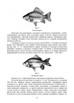 Власов, Жигин: Технология производства продукции биоресурсов. Учебное пособие
