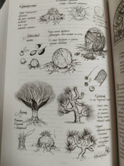 Брендон Сандерсон: Архив Буресвета. Книга 1. Путь королей