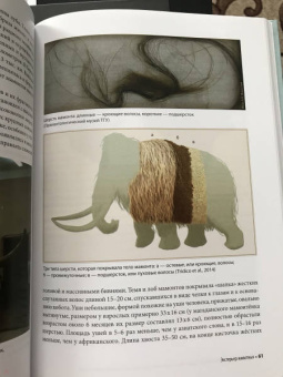 Андрей Шпанский: О мамонтах и их спутниках. Палеоэкология мамонтовой фауны