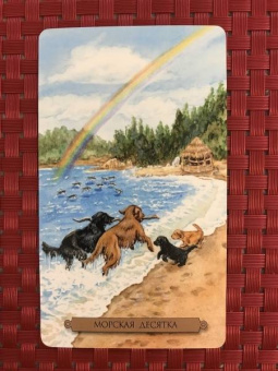 Тарасова, Джетт, Мюллер: Комплект. Таро интуиции+Таро магических собак+Таро исцеляющего сердца