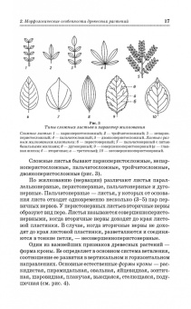 Попова, Попов, Харахонова: Древесные растения лесных, защитных и зеленых насаждений. Учебное пособие для СПО