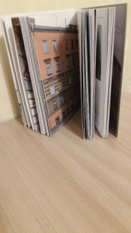 Шишкин, Новопашенная: За фасадом. 25 писем о Петербурге и его жителях