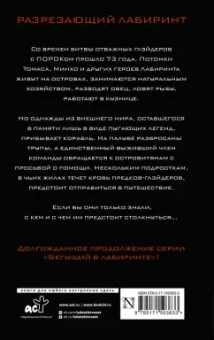 Джеймс Дэшнер: Разрезающий лабиринт
