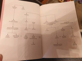 Салман Рушди: Стыд