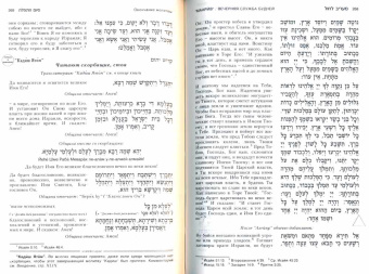 Врата Молитвы (Шаарей Тфила) сидур с транслитерацией -средний