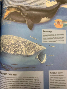 Анна МакРей: Океаны и моря. Виртуальная реальность