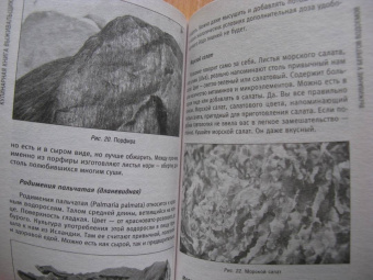 Кулинарная книга выживальщика