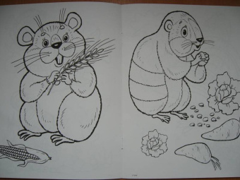 Татьяна Коваль: Домашние любимцы