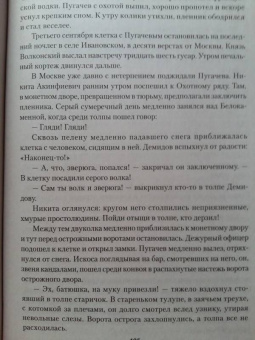 Евгений Федоров: Каменный Пояс. Роман-трилогия. Книга 2. Наследники