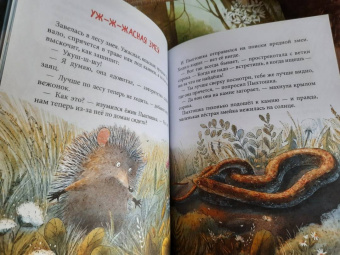 Ирина Гурина: Пыхтошкины истории