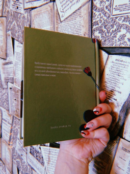 Михаил Нисенбаум: Волчок