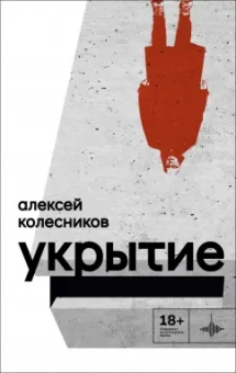 Алексей Колесников: Укрытие