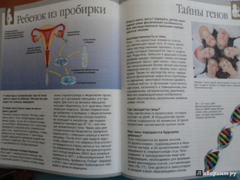 Буэ, Симон: Тело человека
