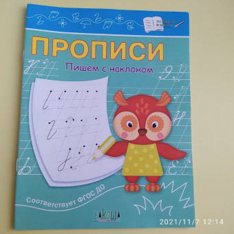 Светлана Чиркова: Прописи. Пишем с наклоном. ФГОС ДО